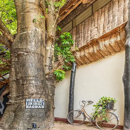 Makofi Guest House-2